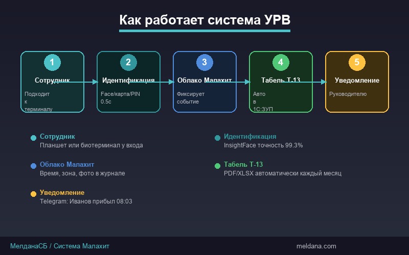 Схема работы системы учёта рабочего времени