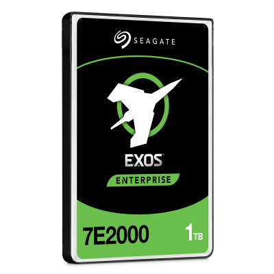 Seagate Exos 7E2000 ST1000NX0313 